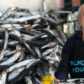 beylikdüzü-haber