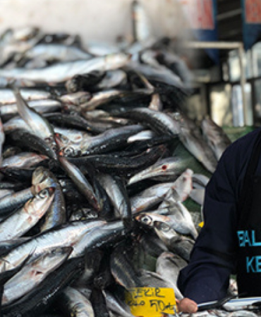 beylikdüzü-haber