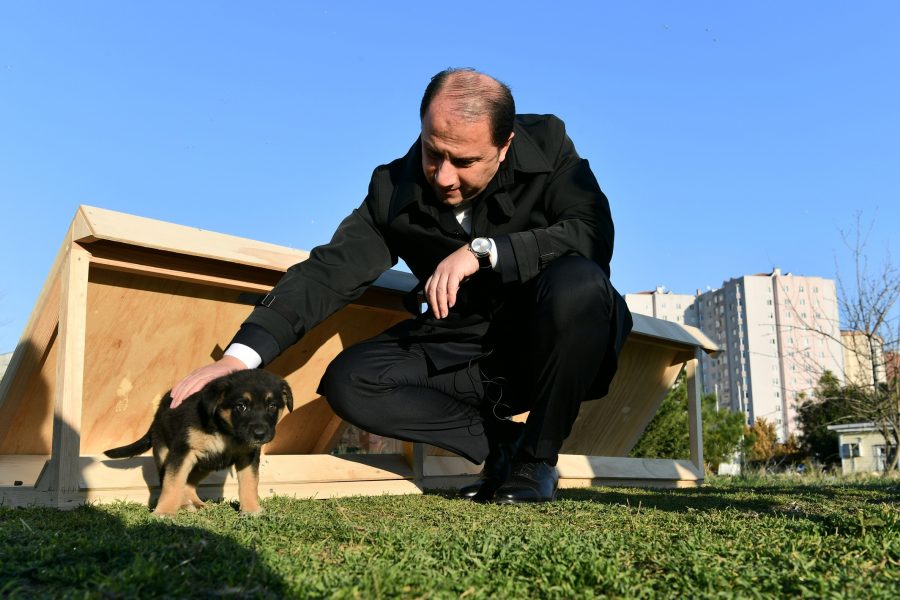 MAMA EVİ PROJESİ (1)