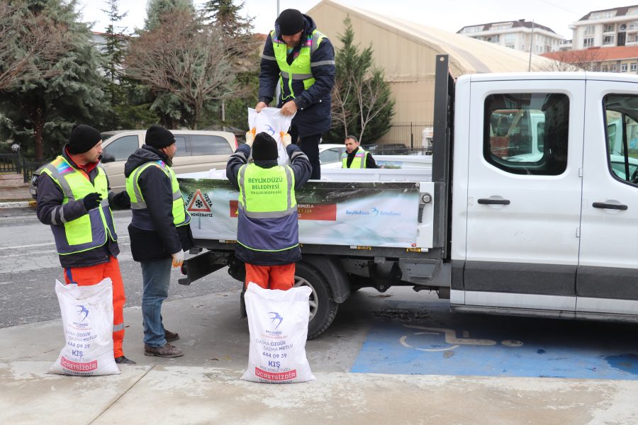 KARLA MÜCADELE (5)