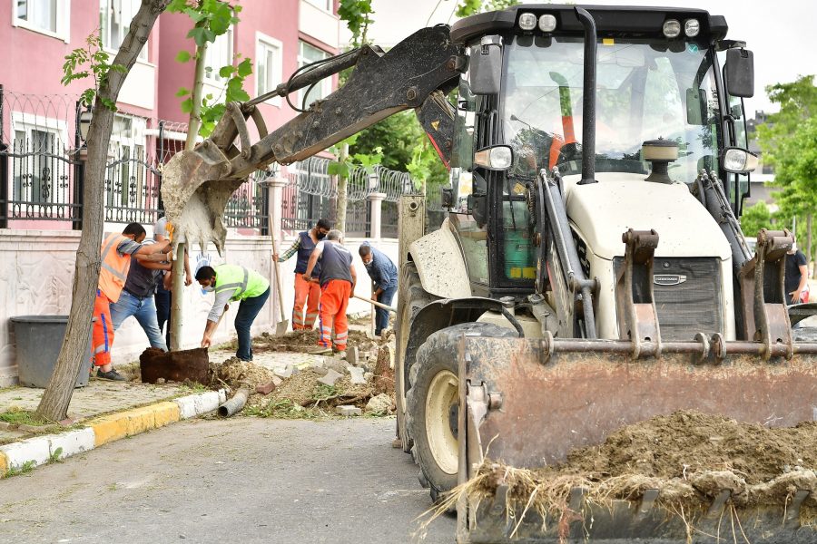 DEVRİLEN 83 AĞACIN YERİNİ ÇINAR AĞAÇLARI ALIYOR (3)