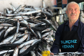 beylikdüzü-haber